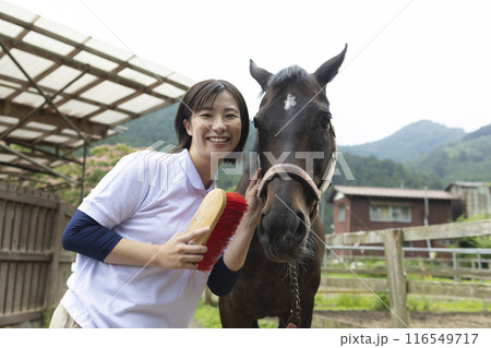 馬のお世話をする女性 馬のお世話をする女性 116549717