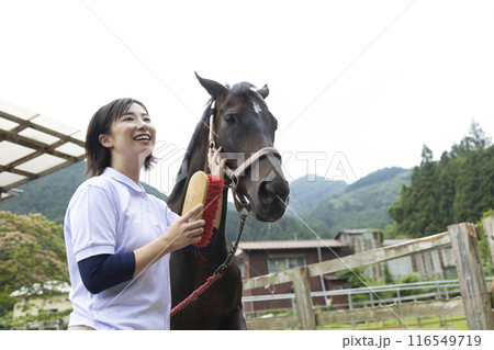 馬のお世話をする女性 116549719
