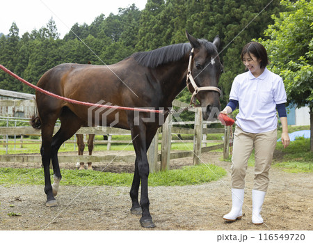 馬のお世話をする女性 馬のお世話をする女性 116549720