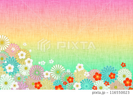梅 菊 和柄 年賀状 背景 梅 菊 和柄 年賀状 背景 116550023