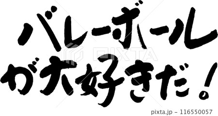 バレーボール 116550057