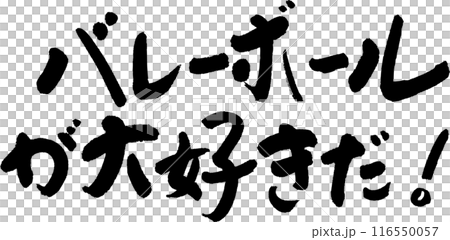 バレーボール 116550057
