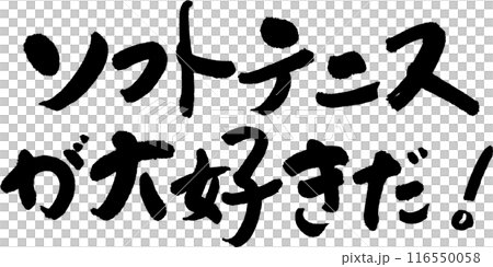 ソフトテニス ソフトテニス 116550058
