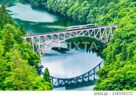 福島 只見線 第一只見川橋梁を渡る列車 福島 只見線 第一只見川橋梁を渡る列車 116550172