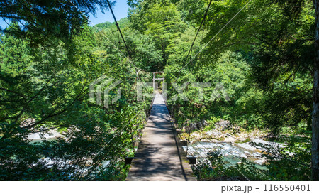中津川渓谷（秋山郷）：見倉橋 116550401
