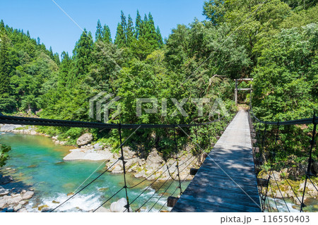 中津川渓谷(秋山郷):見倉橋 中津川渓谷(秋山郷):見倉橋 116550403