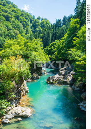 中津川渓谷(秋山郷) 中津川渓谷(秋山郷) 116550446