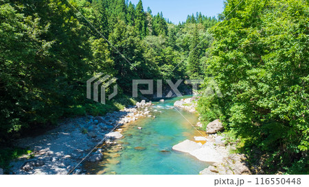 中津川渓谷（秋山郷） 116550448