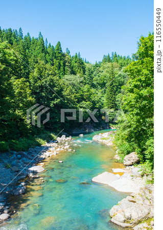 中津川渓谷（秋山郷） 116550449