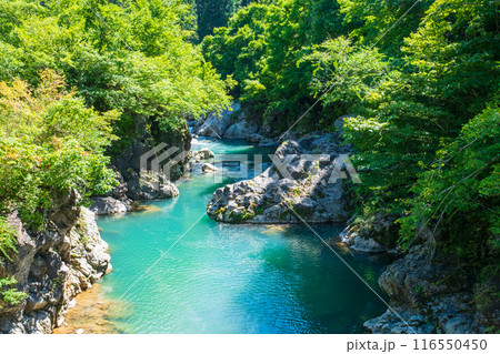 中津川渓谷(秋山郷) 中津川渓谷(秋山郷) 116550450