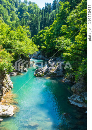 中津川渓谷（秋山郷） 116550452