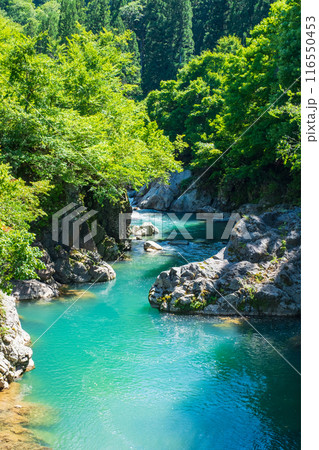 中津川渓谷(秋山郷) 中津川渓谷(秋山郷) 116550453