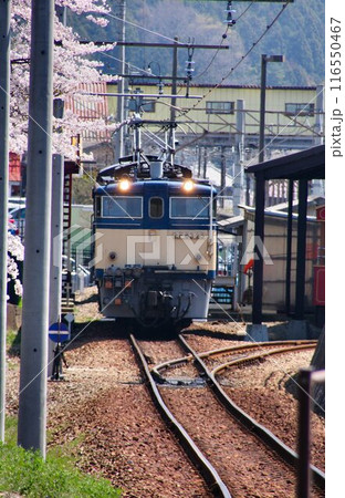 汽笛よ響け!!往時の雄姿を今に伝える…峠のシェルパ・EF63電気機関車【重連運転】 116550467