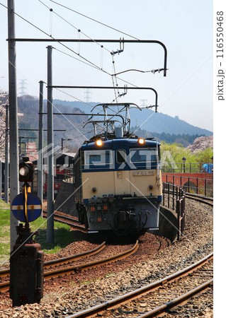 汽笛よ響け!!往時の雄姿を今に伝える…峠のシェルパ・EF63電気機関車【重連運転】 汽笛よ響け!!往時の雄姿を今に伝える…峠のシェルパ・EF63電気機関車【重連運転】 116550468