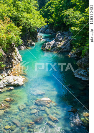 中津川渓谷(秋山郷) 中津川渓谷(秋山郷) 116550483