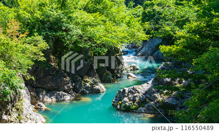 中津川渓谷（秋山郷） 116550489