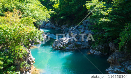 中津川渓谷(秋山郷) 中津川渓谷(秋山郷) 116550504