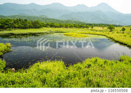 知床五湖の湖畔展望台から見た一湖と知床連山の風景 知床五湖の湖畔展望台から見た一湖と知床連山の風景 116550508