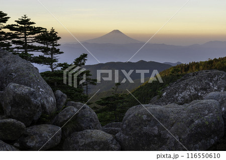 夏の国師ヶ岳から夜明けの富士山 116550610
