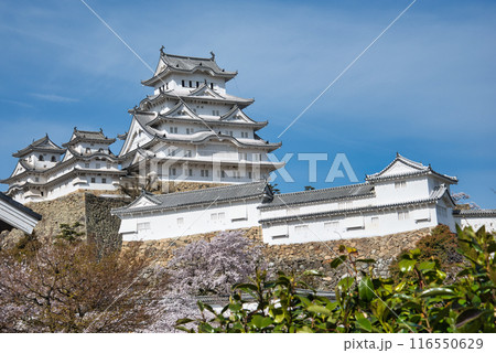 日本初の国宝・世界文化遺産姫路城 日本初の国宝・世界文化遺産姫路城 116550629