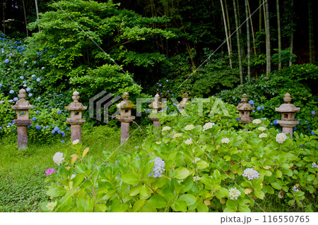 松江藩主　松平家の墓の灯籠　直政公　月照時　 116550765