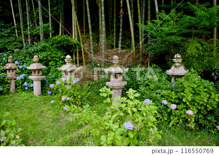 松江藩主　松平家の墓の灯籠　直政公　月照時　 116550769