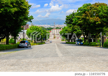 基坂の展望 基坂の展望 116550776