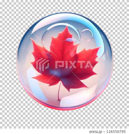 3D bubble with red maple leaf  116550795