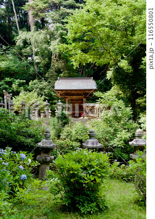 松江藩主 松平家の墓所 不昧公 月照時 松江藩主 松平家の墓所 不昧公 月照時 116550801