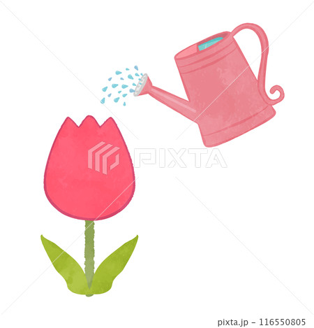 かわいいじょうろで水やり 116550805