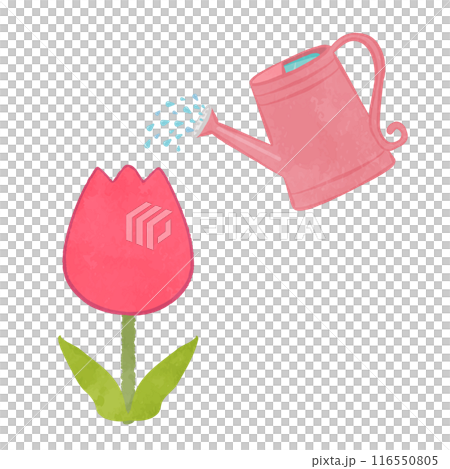 かわいいじょうろで水やり 116550805