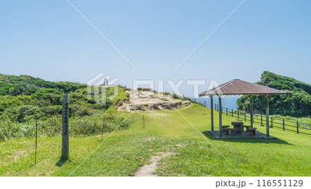 【千葉県勝浦市】鵜原理想郷・手弱女平(たおやめだいら) 116551129