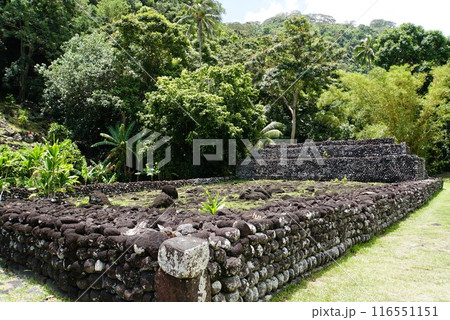 アラフラフのマラエ　タヒチ島 116551151