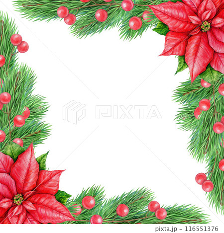 Fir tree branch decor frame painted illustration. Pine twigs, poinsettia flower, red berries decoration on white background. Winter holiday evergreen vintage style festive decoration element Fir tree branch decor frame painted illustration. Pine twigs, poinsettia flower, red berries decoration on white background. Winter holiday evergreen vintage style festive decoration element 116551376