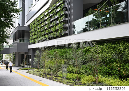 渋谷駅東口エリア再開発で誕生した複合施設　渋谷アクシュの壁面緑化　東京都渋谷区 116552293