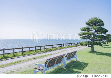 茨城 霞ヶ浦(行方市・天王崎公園) 茨城 霞ヶ浦(行方市・天王崎公園) 116552410