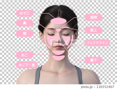 女性關心的臉部除毛治療部位圖解 日本3D模型上半身胸前臉 女性關心的臉部除毛治療部位圖解 日本3D模型上半身胸前臉 116552467