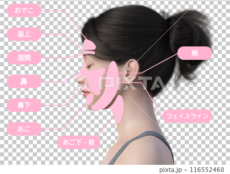 女性關心的臉部除毛治療部位圖解 日本3D模型上身半身側視圖 女性關心的臉部除毛治療部位圖解 日本3D模型上身半身側視圖 116552468