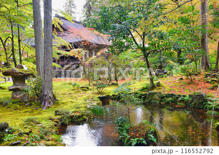 大原　秋の三千院の美しい紅葉（京都市左京区） 116552792