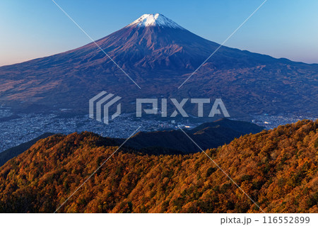 三ツ峠から見る紅葉の尾根と朝の富士山 116552899