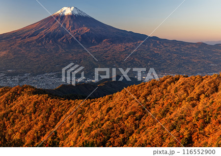 三ツ峠から見る朝焼けの富士山と紅葉の山並み 116552900