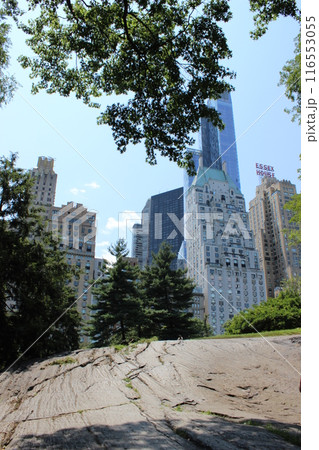 New York City, city view, skyscrapers, looking up New York City, city view, skyscrapers, looking up 116553055