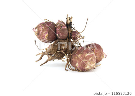 Jerusalem artichokes (sunchokes) tubers isolated on white 116553120