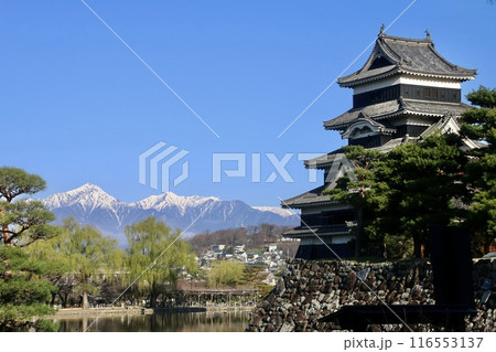 松本城と北アルプス(長野県・松本市) 松本城と北アルプス(長野県・松本市) 116553137