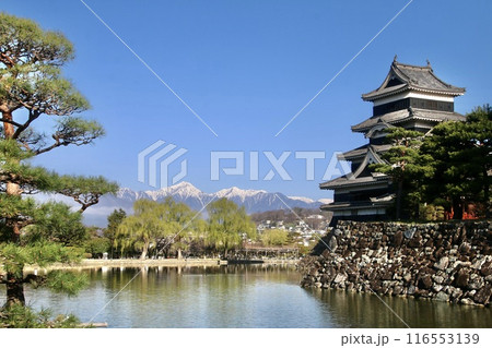 松本城と北アルプス(長野県・松本市) 松本城と北アルプス(長野県・松本市) 116553139