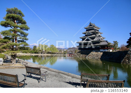 松本城と北アルプス(長野県・松本市) 松本城と北アルプス(長野県・松本市) 116553140
