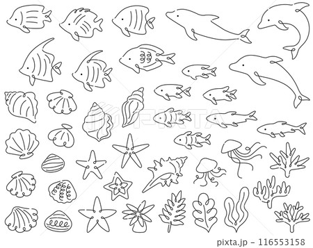 海の生き物の線画イラストセット 116553158