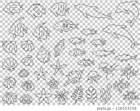 海の生き物の線画イラストセット 116553158