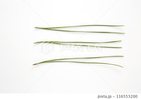 松葉_日本料理に使うつまもの 116553200