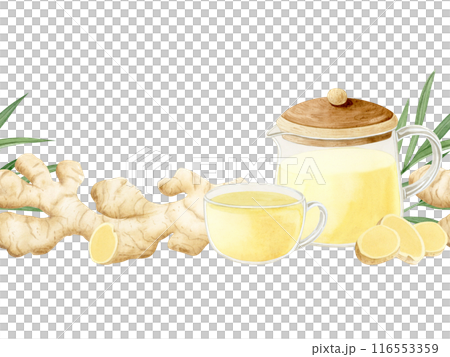 Ginger herbal tea in glass teapot and cup watercolor seamless border isolated on white background. Hand drawn organic hot beverage for traditional healthy recipes and cafe menu 116553359